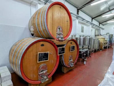 Thumbnail Grotte Wine & Oil Experience presso la Tenuta Serafica