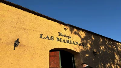 Thumbnail Ruta del Vino de San Juan: Tour de Bodegas y Viñedos Boutique
