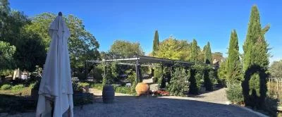 Thumbnail Castelli Romani : Dégustation de vin à Frascati depuis Rome