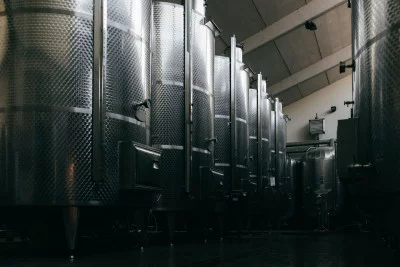 Thumbnail A Taste of Piedmont: Winery Tour and Wine Tasting at Cantina Beppe Marino