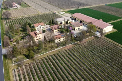 Thumbnail Scopri l'antica tradizione dell'Aceto Balsamico Tradizionale di Modena all'Acetaia Corte Ansaloni