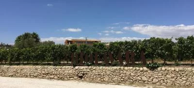 Thumbnail Wine tasting e scoperta dei vini della cantina RioFavara