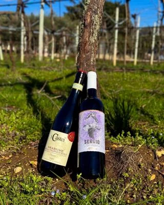 Thumbnail Cata de vinos clásicos de Valpolicella en Castellani Michele