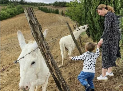 Thumbnail Pienza e Montepulciano: Tour delle cantine e pranzo in una fattoria di formaggi biologici