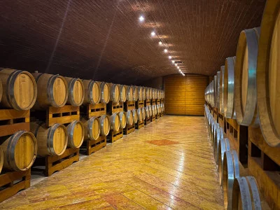 Thumbnail Degustazione di vini alla cieca presso Castellani Michele in Valpolicella