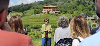 Thumbnail I Suoli Vulcanici di Boca - Descubre el Supervolcán y los Vinos Ecológicos en Podere Ai Valloni