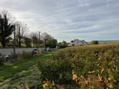 Thumbnail Visite du Champagne et du vin de Reims au départ de Paris avec déjeuner gastronomique