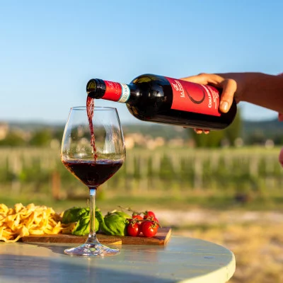 Thumbnail Degustazione di vini umbri e light lunch presso la cantina La Fonte