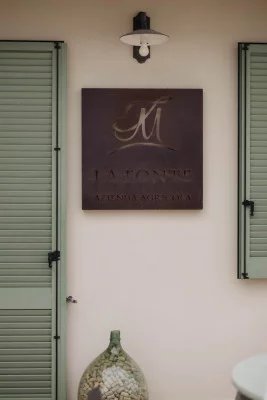 Thumbnail Degustazione di vini umbri e light lunch presso la cantina La Fonte