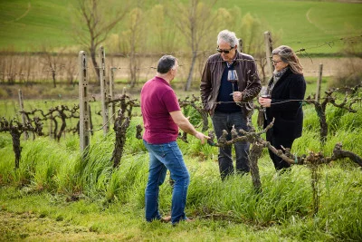 Thumbnail Private Tour Barrels & Reds: Entdecke den Vino Nobile di Montepulciano auf der Tenuta Golo