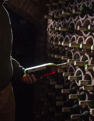 Thumbnail Scopri il Chianti di Firenze - Tour dei vigneti e della cantina storica La Querce