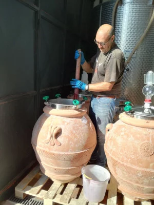 Thumbnail Découvre le Chianti de Florence - Visite des vignobles et des caves historiques à La Querce