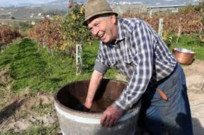 Thumbnail Degustazione di vini a Salerno - Tour dei vigneti, delle cantine e degli uliveti