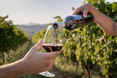 Thumbnail Dégustation de vin à Salerne - Visite du vignoble, de la cave et de l'oliveraie