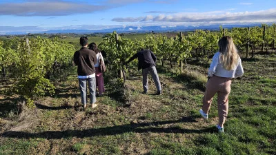 Thumbnail Vom Boden ins Glas: Tour & Weinprobe in Montepulciano auf dem Podere Casa al Vento