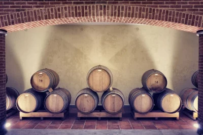 Thumbnail GOLD Wine Experience : Un voyage à travers les vignobles et les caves à La Mondianese