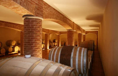 Thumbnail Wine experience GOLD: Un viaggio tra vigneti e cantine a La Mondianese