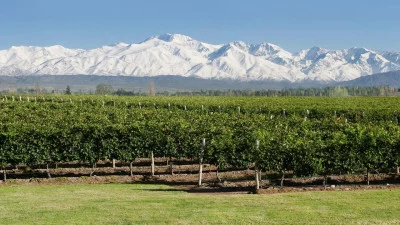 Thumbnail Ruta del Vino de Medio Día por Mendoza: Las Mejores Bodegas de Luján-Maipú