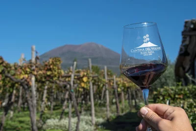 Thumbnail Degustazione di vini alle pendici del Vesuvio da Napoli