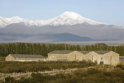 Thumbnail Aventura del Vino en Mendoza: 3 Bodegas y Almuerzo Gourmet con Traslado