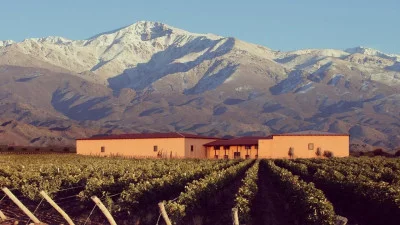 Thumbnail Mendoza Wein Abenteuer: 3 Weingüter & Gourmet-Mittagessen mit Transfer