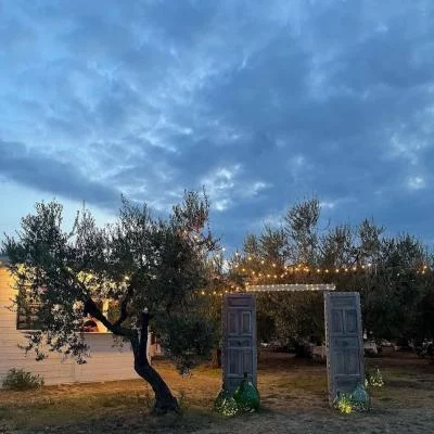 Thumbnail Degustazione d'arte a La Vinarte: Laboratorio di affresco con picnic al chiaro di luna tra i vigneti