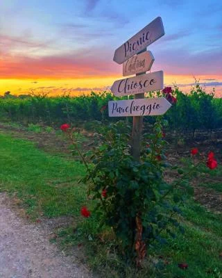 Thumbnail Dégustation d'art à La Vinarte : Atelier fresque et pique-nique au clair de lune dans les vignobles