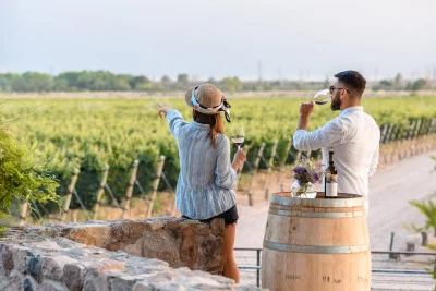 Thumbnail Tournée des caves et de l'huile d'olive : Goûte les meilleures saveurs de Mendoza