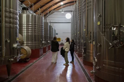 Thumbnail Tour de Bodegas y Aceite de Oliva: Prueba los mejores sabores de Mendoza