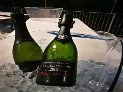 Thumbnail Cata de vinos ecológicos y veganos en la Bodega Illica