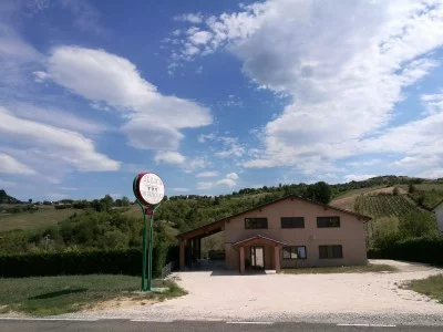 Thumbnail Alla scoperta dei vini biologici e vegani della cantina Illica