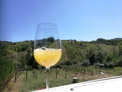 Thumbnail Organic & Vegan wine tasting at Illica Winery