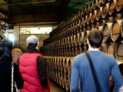 Thumbnail Sud des merveilles de Lisbonne : Excursion d'une journée au départ de Lisbonne pour découvrir les vins et les tuiles
