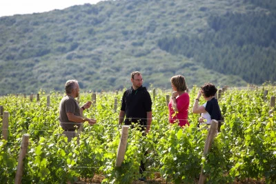 Thumbnail Weinprobe Workshop in einem familieneigenen Weinberg Domaine Joseph Lafarge im Mâconnais