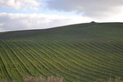 Thumbnail Weintour mit Mittag- oder Abendessen im Baglio Florio Adamo