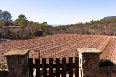 Thumbnail Montserrat Ganztagestour mit Bauernhof-Mittagessen und Weingut Besichtigungen ab Barcelona