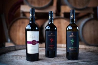 Thumbnail Wine experience at Podere Borgaruccio - Dégustation de 3 vins avec des gourmandises locales