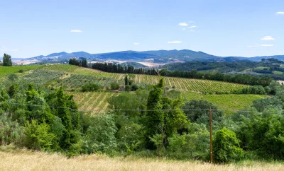 Thumbnail Wine experience en Podere Borgaruccio - Cata de 3 vinos con delicias locales