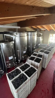 Thumbnail Classic Experience at La Romiglia Winery