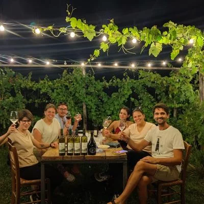 Thumbnail Authentique wine experience dans les vignobles de Colli Piacentini à Civardi