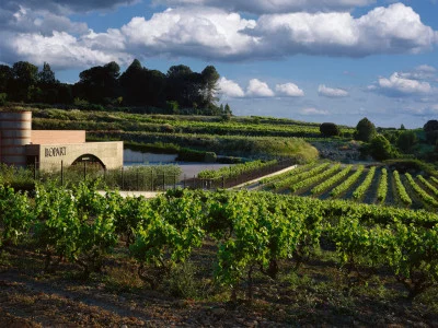 Thumbnail Exclusive Sparkling Wine Tasting: Discover the Best DO Corpinnat Wines & Visit Vineyards in Penedès