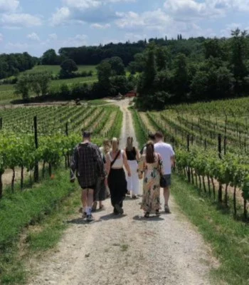Thumbnail Premium Wine Tour & Tasting at Il Sosso Winery
