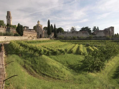 Thumbnail Discover Prosecco Among UNESCO Hills – Express Tour from Treviso