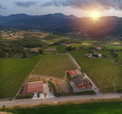 Thumbnail Día del Vino Excursión enogastronómica de un día en Irpinia