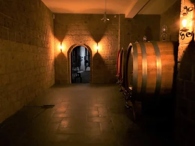Thumbnail Día del Vino Excursión enogastronómica de un día en Irpinia