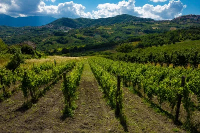 Thumbnail Inmersión Total en el Vino - 2 Días y 1 Noche en Irpinia, Campania