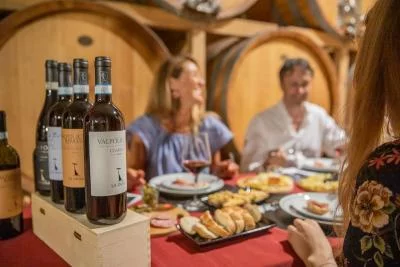 Thumbnail Organic Wine Tasting with Light Lunch at La Dama Vini in Valpolicella