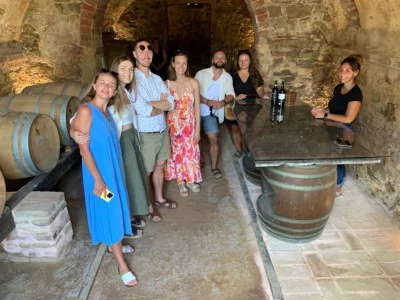Thumbnail Tour superiore e degustazione di vini presso la cantina Il Sosso in Chianti