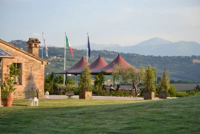 Thumbnail Autentica degustazione di vini marchigiani nella cantina storica di Tenute Muròla a Urbisaglia