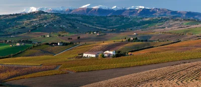 Thumbnail Dégustation de vins authentiques des Marches dans la cave historique de Tenute Muròla à Urbisaglia